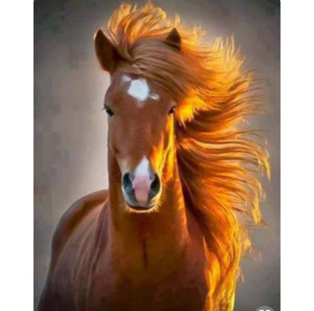 Meet your Posher, Joee